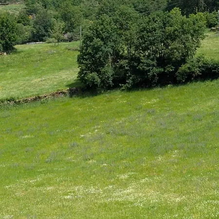 Casa D'zelo - Geres Σπίτι διακοπών Montalegre